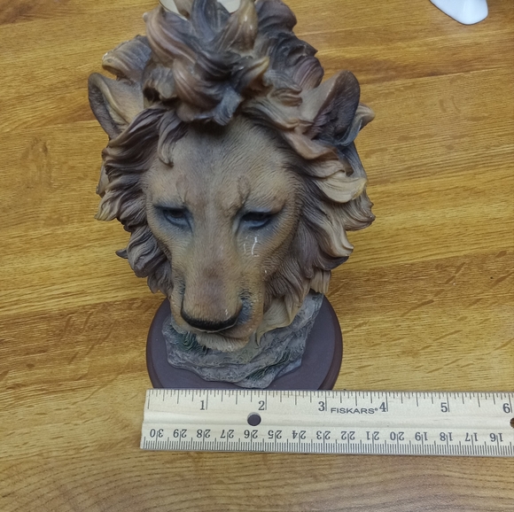 Southwestern Reflections Collection- Lion Vintage - Picture 5 of 9